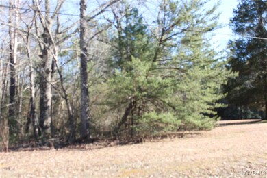 View of local wilderness