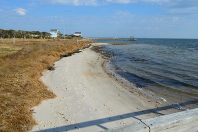 Sandy Beaches