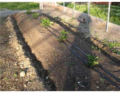 Other. Showing the irrigation before...