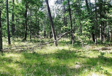 00000 Leisure Loop, Webber Township, MI 49304 - photo 2