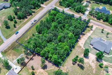 0 Daniel Lee Ln, Texarkana, TX 75501 - photo 3