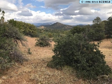 0 Xyz Ranch Rd unit Corner of XYZ and Oa, Silver City, NM 88061 - photo 4