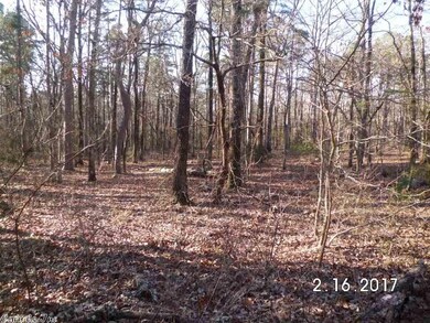 0 Silver Fox unit 18004634, Heber Springs, AR 72543 - photo 2