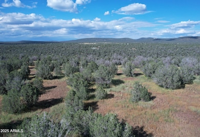 1887 Terry Ln, Kaibab Estates West, AZ 86320 - photo 6