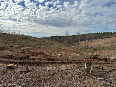 0 Leesville Rd, Lynch Station, VA 24571 - photo 4