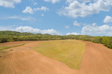 Baugh_Springs_Rd