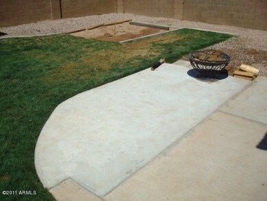 back yard