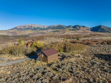 1036 Harcourt Trail, Placerville, CO 81430 - photo 3