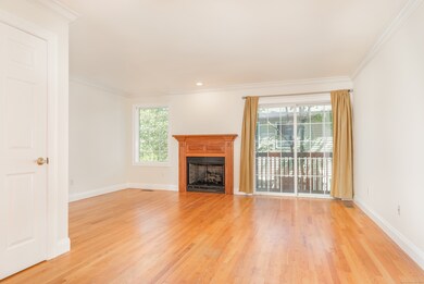 70 Fountain St unit 4, New Haven, CT 06515 - photo 7