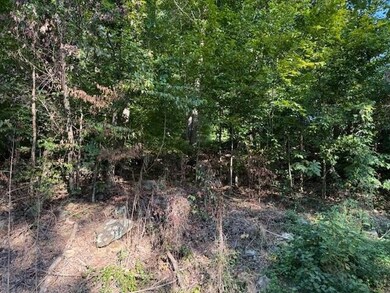 13 Mullins Cove Rd, Powells Crsrd, TN 37397 - photo 4