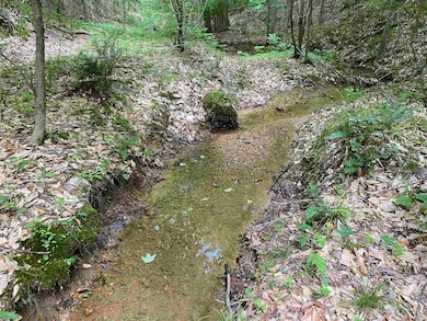 1 Montgomery Ln, Savannah, TN 38372 - photo 6