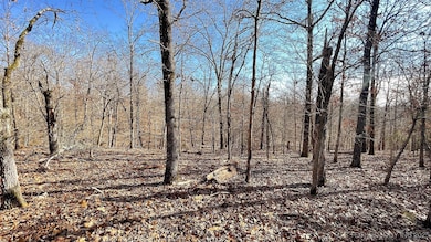 2361 Overlook Trace, Chewey, OK 74464 - photo 4