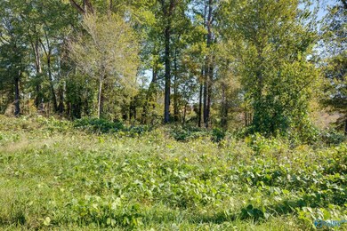 142 Easy St, Hazel Green, AL 35750 - photo 6