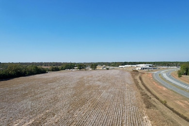 Sr 228, Ellaville, GA 31806 - photo 3