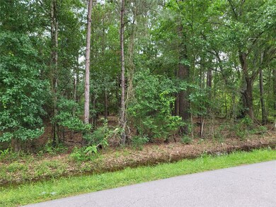 TBD Roberts Cemetery Rd, Hockley, TX 77447 - photo 2