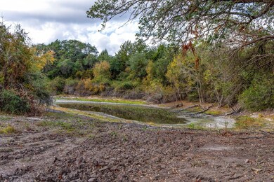 1250 Ladewig Ln, Flatonia, TX 78956 - photo 7