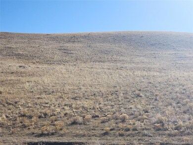 0 Coweta Trail unit 1499 REC3242171, Hartsel, CO 80449 - photo 3