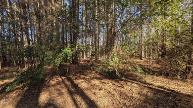 PXL_20231224_155129329.MP