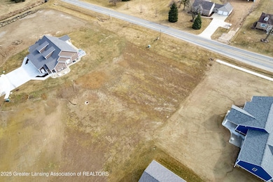 Lot 8 N Wright Rd, Fowler, MI 48835 - photo 4