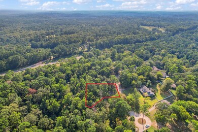 TBD Lake Oaks Cir unit 79-80, Coldspring, TX 77331 - photo 7