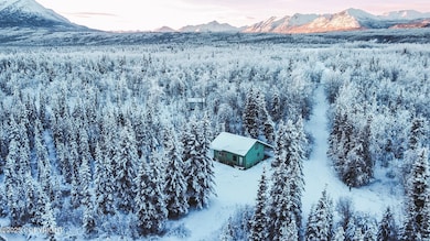 Mile 73.5 Richardson Hwy, Chitina, AK 99566 - photo 4