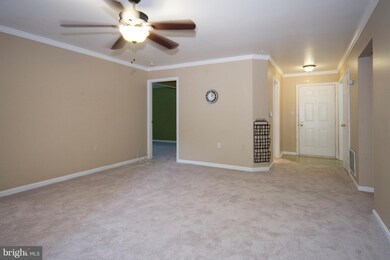 5011 Triplett Rd unit 5011, Owings Mills, MD 21117 - photo 4