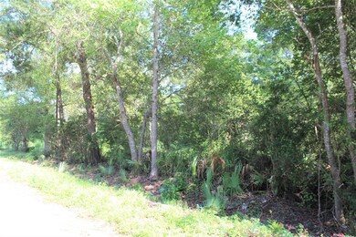 0 River Dr, Conroe, TX 77385 - photo 5