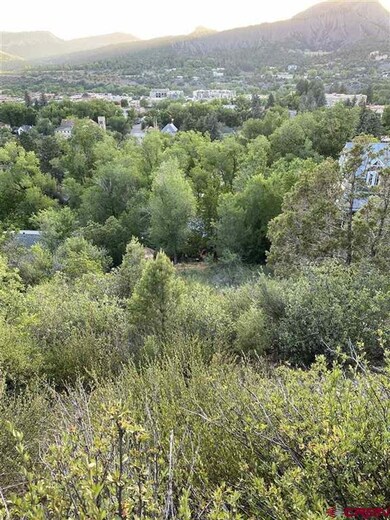 1164 E 5th Ave, Durango, CO 81301 - photo 5