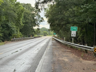 0 Airport Ln, Crosby, MS 39633 - photo 2