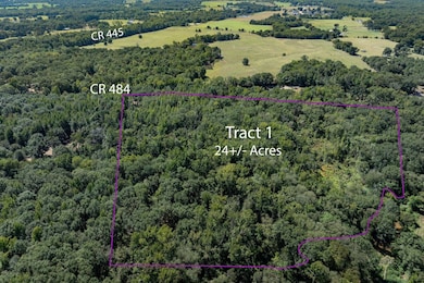 00 Hwy 69 Cr 484, Mineola, TX 75773 - photo 3