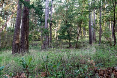 0 Afterglow Dr unit NWM1912159, Friday Harbor, WA 98250 - photo 7