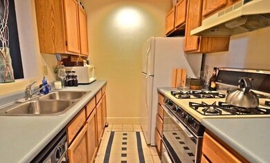 101 E Brookline St unit 1, Boston, MA 02118 - photo 5