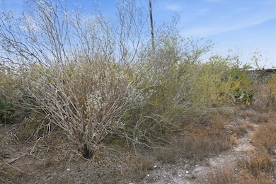 00 Huajilla Bend Rd, Sandia, TX 78383 - photo 7
