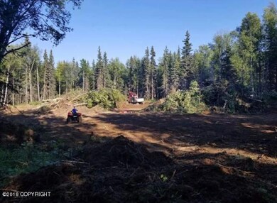 3215 E Paradise Ln, Wasilla, AK 99654 - photo 2