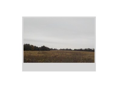 SOUTHERN 40 ACRES WITH THE WOODS