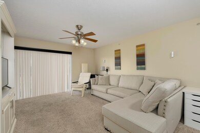 Vina Vista-6