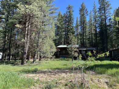 Looking back toward old cabin