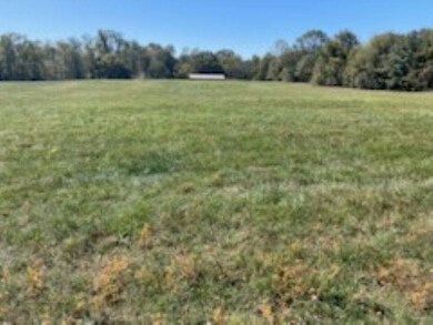 0 Cudd Dr unit SPN331649, Chesnee, SC 29323 - photo 3