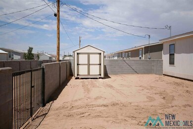 4215 Balsa St, Carlsbad, NM 88220 - photo 6