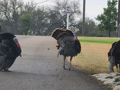 19006 White Bluff Dr, Whitney, TX 76692 - photo 5