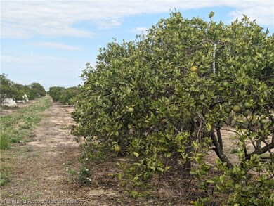 8830 E Twitty Rd, Sebring, FL 33876 - photo 7