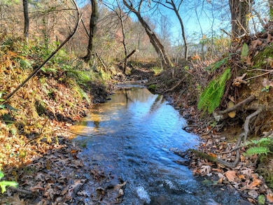 5491 Hardscrabble Rd, Mineral Bluff, GA 30559 - photo 6