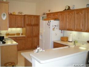 KITCHEN VIEW 2