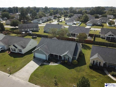 2137 Tillers Plow Row, Effingham, SC 29541 - photo 3