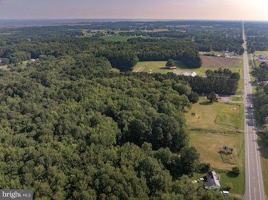 0 Crisfield Hwy unit MDSO2006130, Crisfield, MD 21817 - photo 6