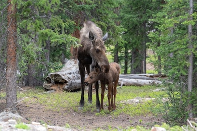 View of local wildlife on property