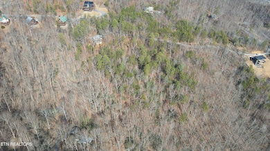 dji_fly_20250214_103852_434_173954753959