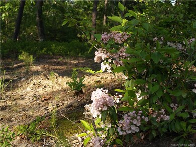 Sample flora found within subdivision