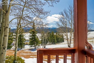 251 County Road 25, Divide, CO 80814 - photo 3