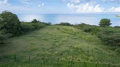 2 Calle Cañon, Vieques, PR 00765 - photo 3